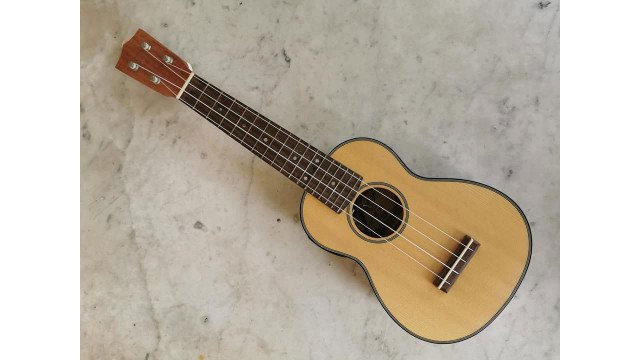 Hudson S90E