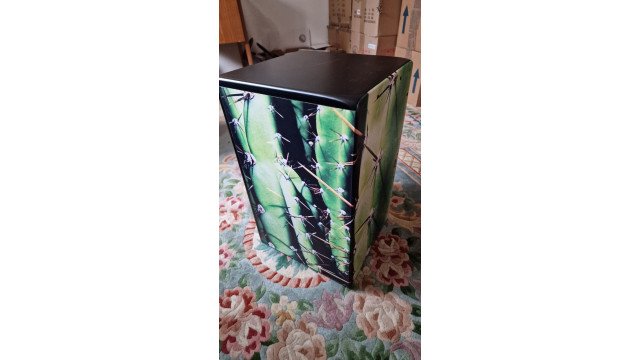 Voggenreiter Cajon Cactus