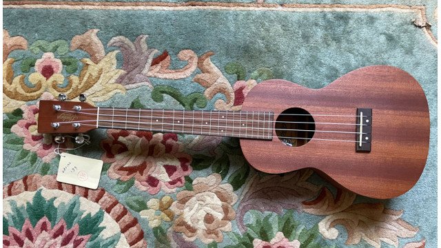 Hudson HU10-TE Tenor Electric