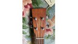 Hudson HU10-TE Tenor Electric