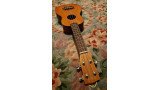 Korala UKS-40ENT electrische ukulele